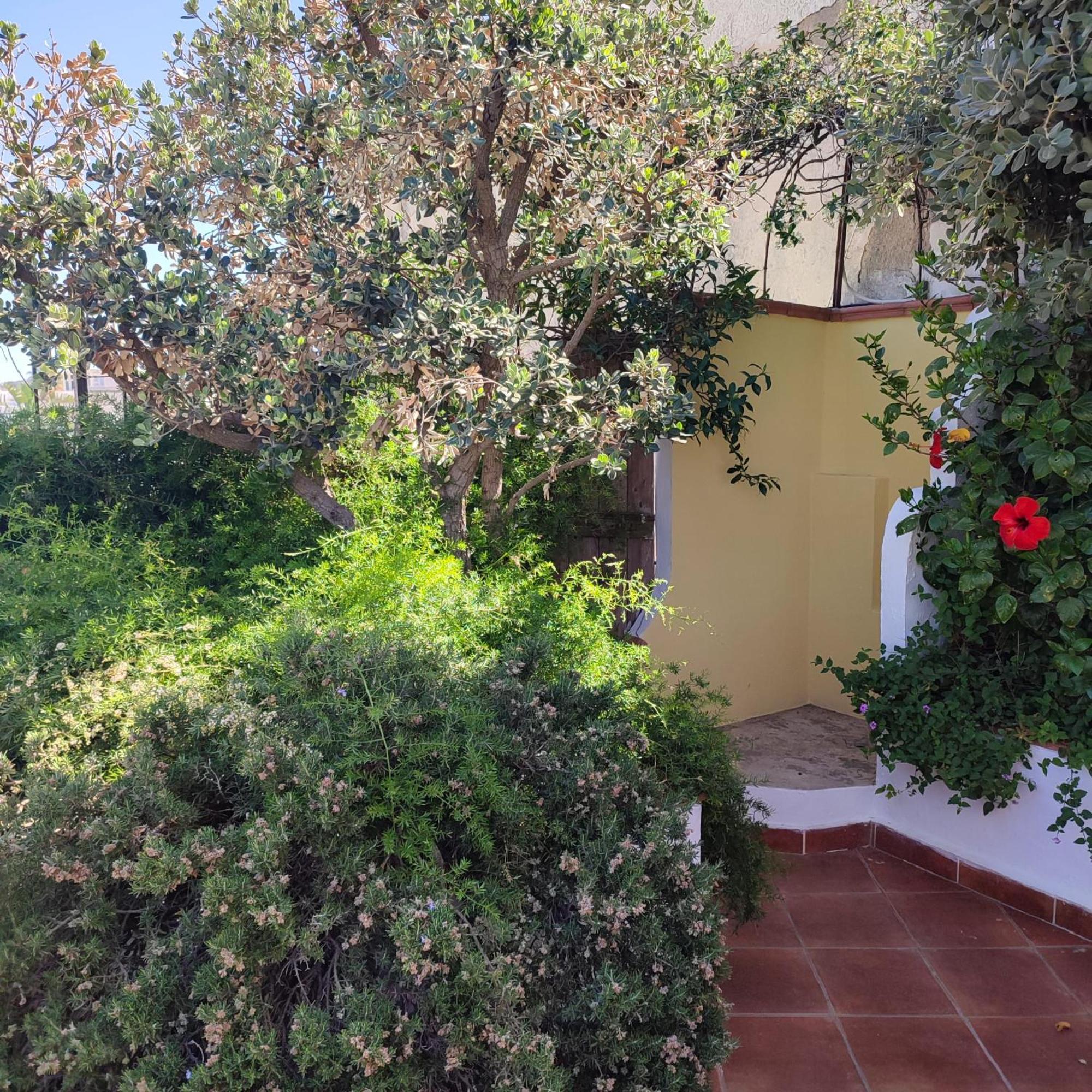 Hotel Villa Verde Forio  Exterior photo